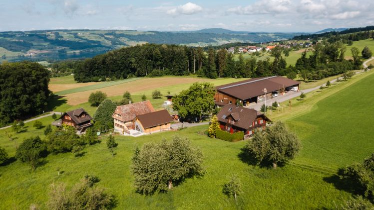 Fohrenhof_Felder-R?ttimann_Kleinwangen_Drohne