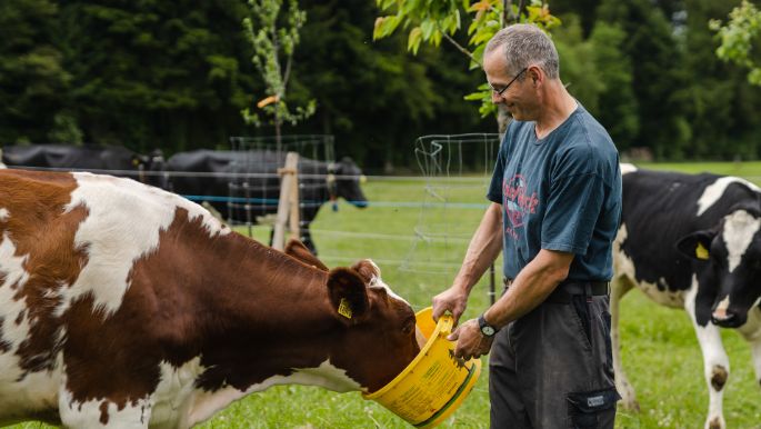 Fiechter Holstein_Fiechter_Graben_Arbeit-2