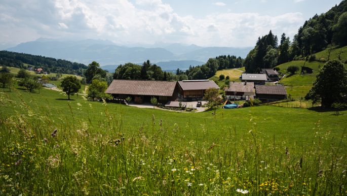 Chrinnehof_Kindlimann_Wald_Hof