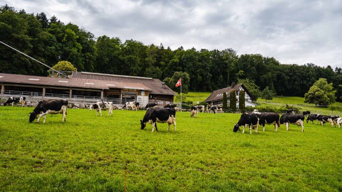 Hof Zollinger_Zollinger_Urdorf_Hof