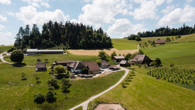 Otterbach_Hirsbrunner_H?usernmoos_Drohne