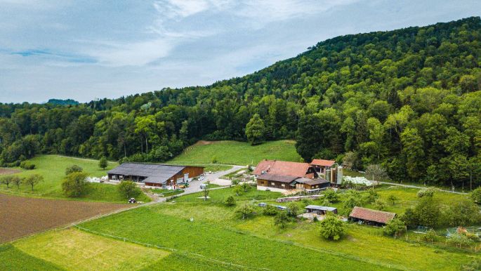 Hof Luder_Luder_Oftringen_Drohne