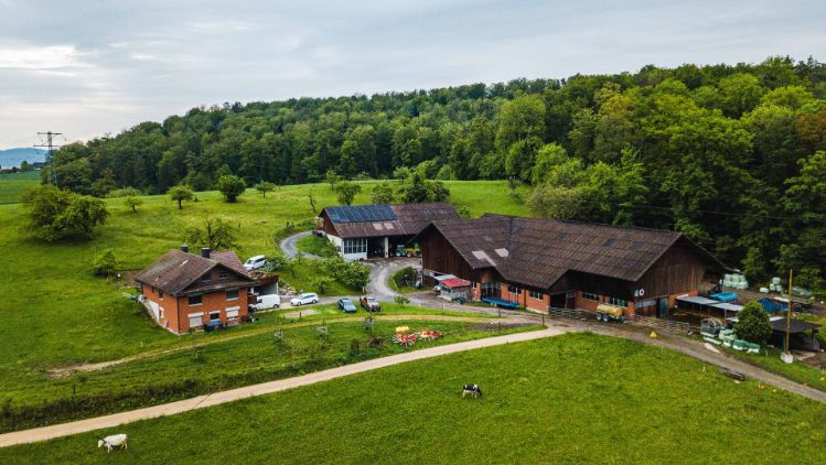 Hof Basler_Basler_Küttigen_Drohne