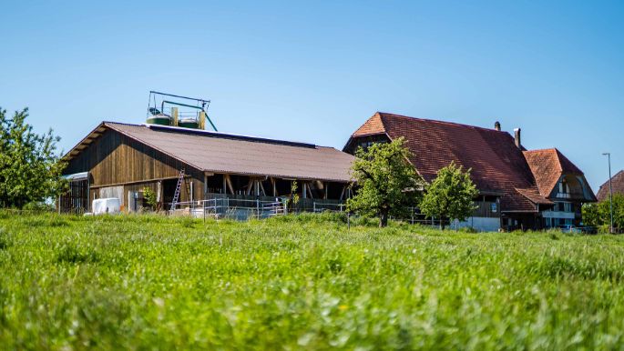 Lim-Val_Holstein_Kunz_Mülchi_Hof