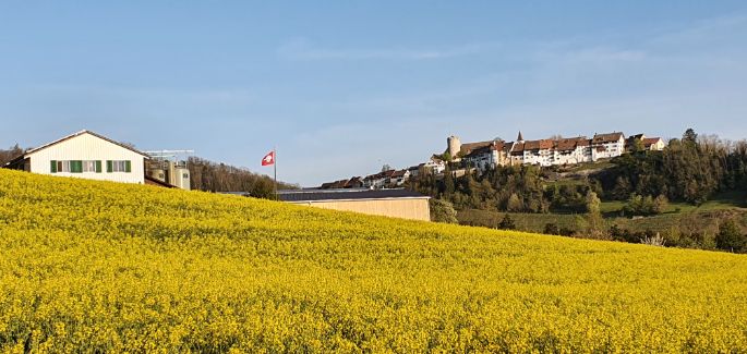 Berghof Richard Hug Feld
