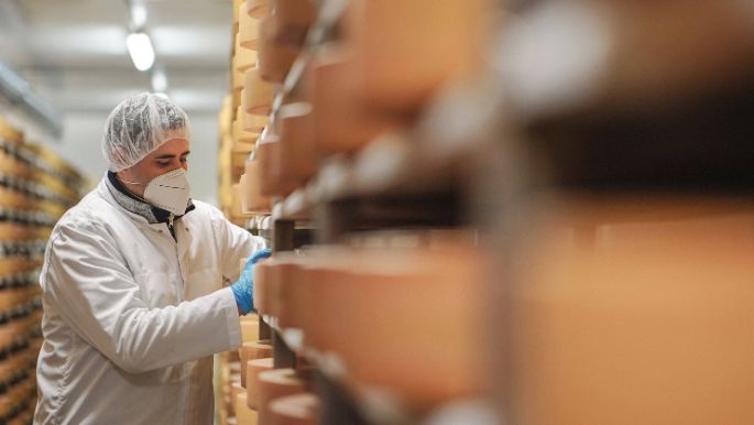 aut-ueberemmi-kaesekeller-pflege