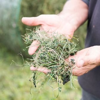 leeb-vital-heu-in-hand