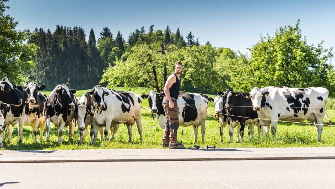 Weidriethof_Zeller_Seegr?ben_Arbeit