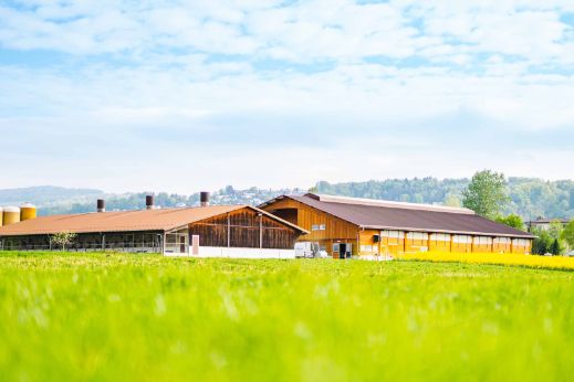 Storenächerhof_Wertli_Zufikon_Hof