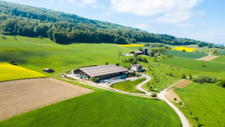 Lernort-Bauernhof_Pfefferli_Wangen_bei_Olten_Drohne