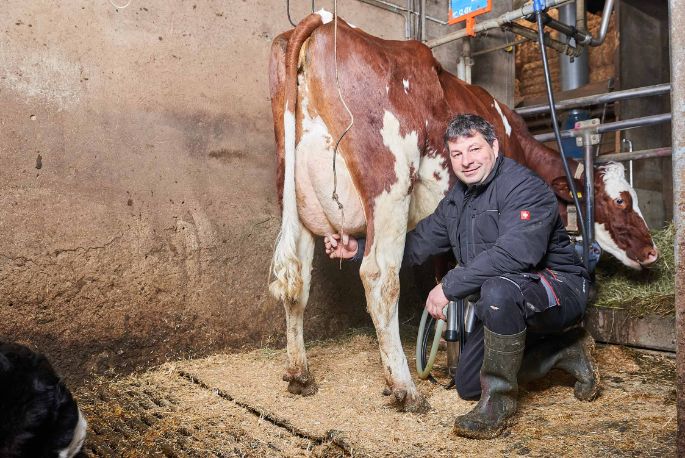 Kaltenbrunnenhof, Peter Ulrich, Trimbach_Stall_2