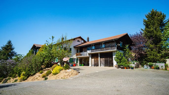 Brunnacherhof_Sandmeier_Seengen_Hof