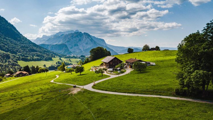 Berger Bio-Hof_Berger_Aeschi b Spiez_Drohne