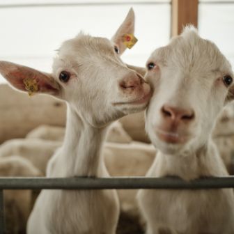 9aacedce-405e-441a-89a8-b3a8b6f2f038-m