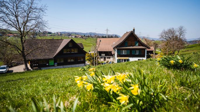 Harüti_Bill_Hirzel_Hof