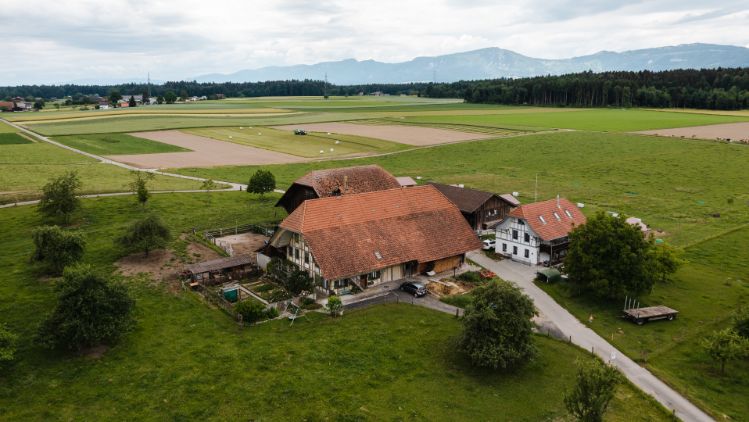 Hinterfeldhof_Ingold_Rothenbach Herzogenbuchsee_Drohne