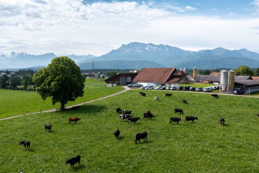 klimastar-event-bauernhof-stage-02