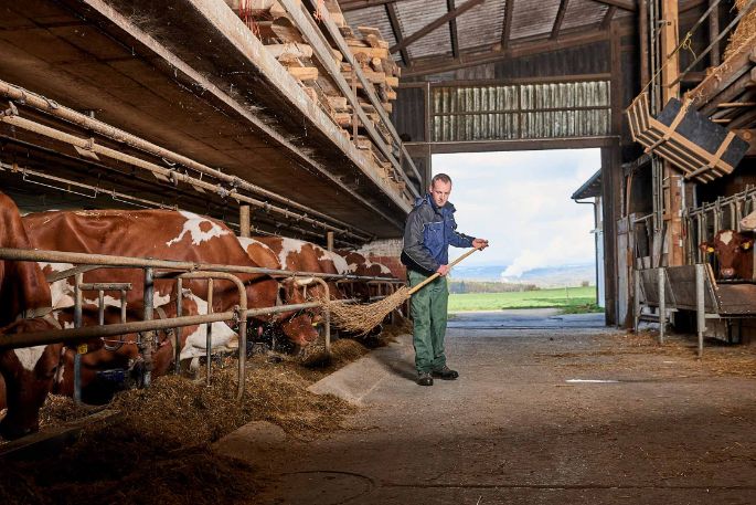 Sunnehof, Otto Zimmermann-Oeschger, Döttingen_Stall