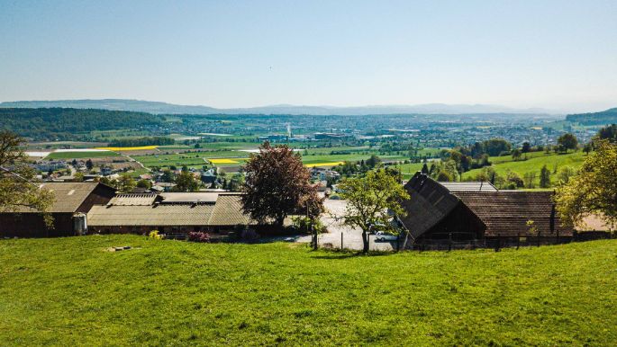 Buchacker_Meyer_Dintikon_Hof