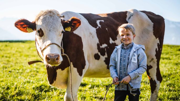 Spinnerei_Lindenmann_Uznach_Kuh3