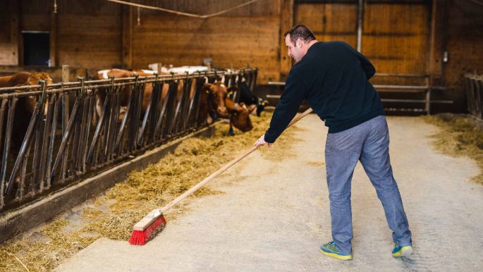 Vierbrunnenhof_Huber_Birrhard_Arbeit_2