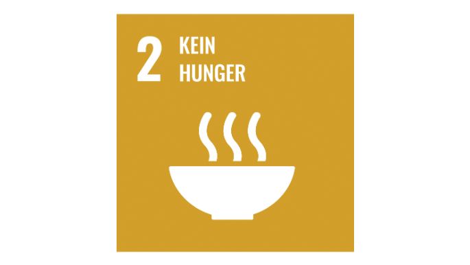 web-SDG_icons_DE-02-n