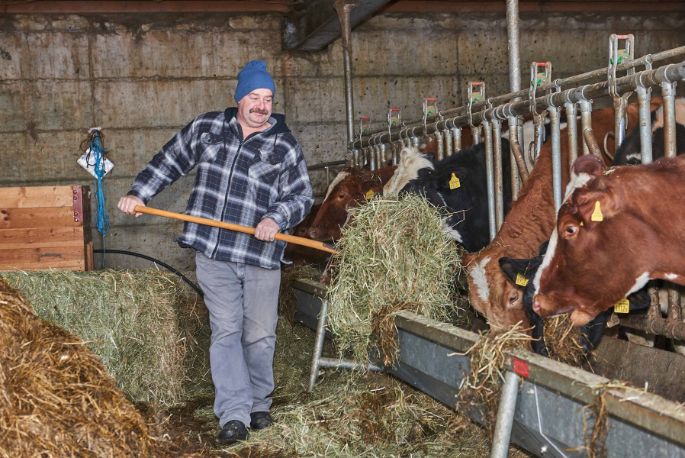 Untermoos, Gerhard Wyss, Lauperswil_Stall_2