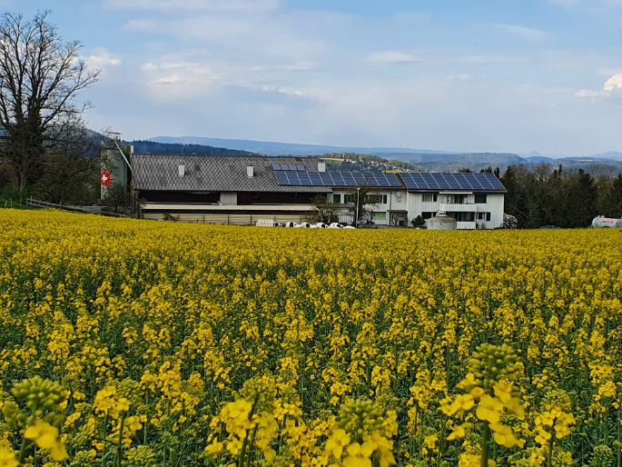 Berghof Richard Hug Hof