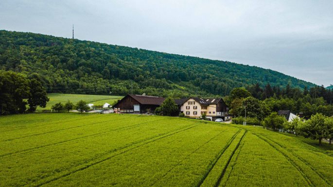 Hof Studinger_Studinger_Dulliken_Drohne