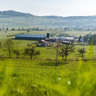Badhof_Stofer_Wilihof_Hof