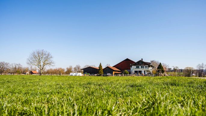 Familie Fürst_Fürst_Mönchaltdorf_Hof