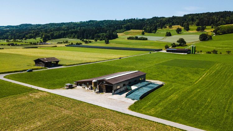 Hof Elmiger_Elmiger_Ermensee_Drohne