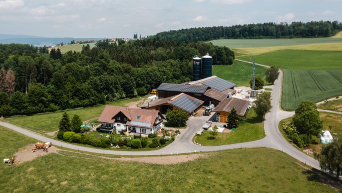 Loostudfarm_Koch_Berikon_Drohne