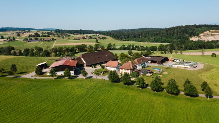 Sonnhaldenhof_Gr?ter_St. Urban_Drohne