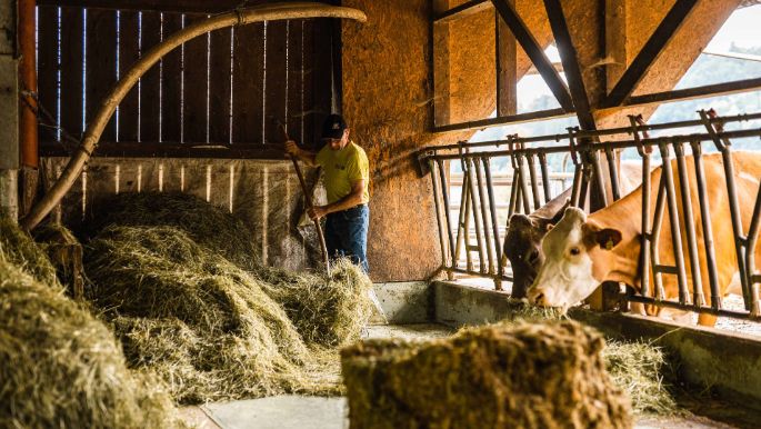 biogomerk_Schüpbach_Hasle b B_Arbeit