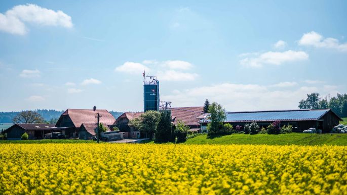 Hof_Gilgen_Gilgen_Oberwangen_Hof