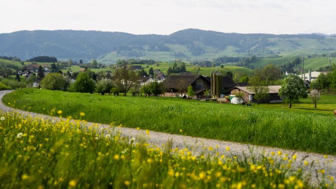 Leuthold-Aegerten-Hirzel_Leuthold_Hirzel_Hof