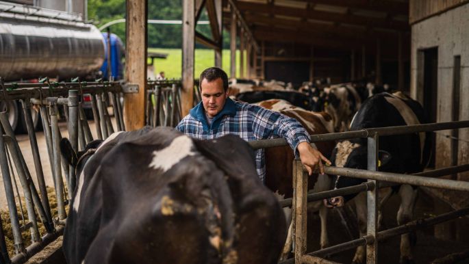 Kastelhof_Weilenmann_Niederhasli_Arbeit
