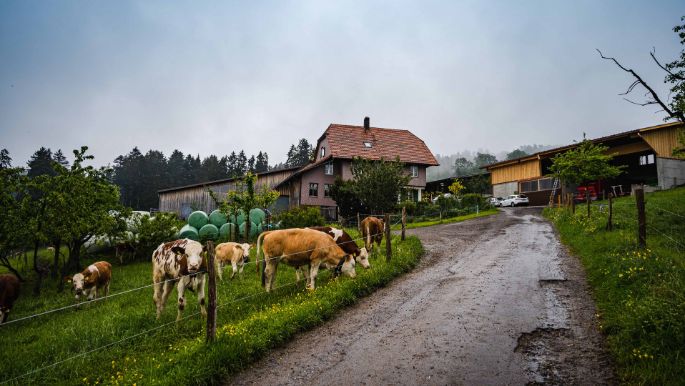 Gaselweid_Stettler_Gasel_Hof