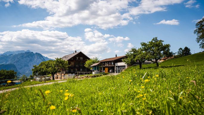 Berger Bio-Hof_Berger_Aeschi b Spiez_Hof