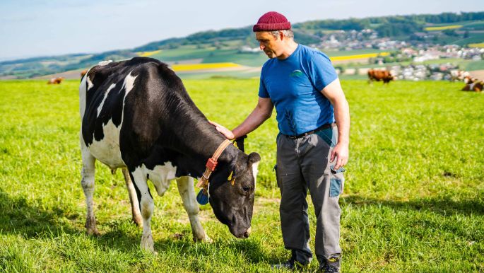 Steig_Bachmann_Niederweningen_Arbeit_2