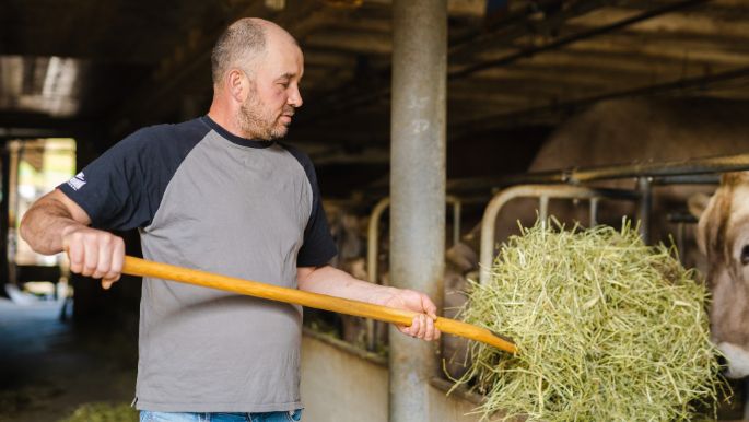 Hof Sommer_Oberer Glasbach_Rohrbachgraben_Arbeit