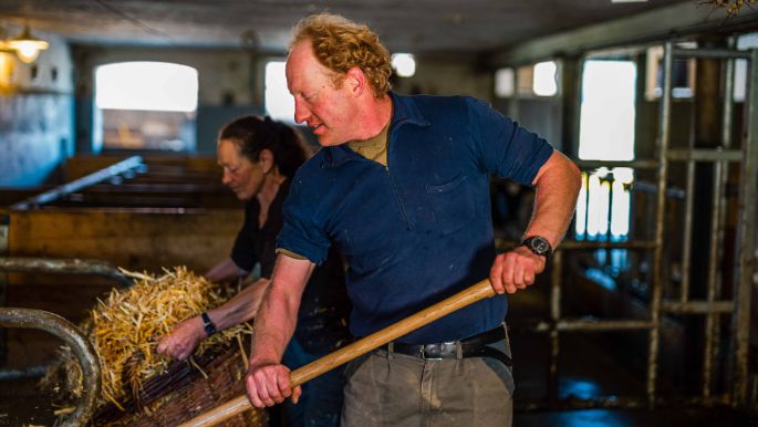 Lim-Val_Holstein_Kunz_Mülchi_Arbeit