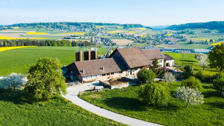 Steig_Bachmann_Niederweningen_Drohne