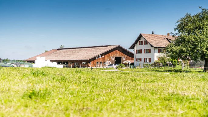 Weidriethof_Zeller_Seegr?ben_Hof