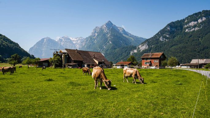 Kupfernhof_Landolt_Mollis_Hof