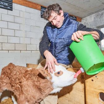 Hof Keller, Fritz Keller Jun. , Niederweningen_Kuh_Stall_3