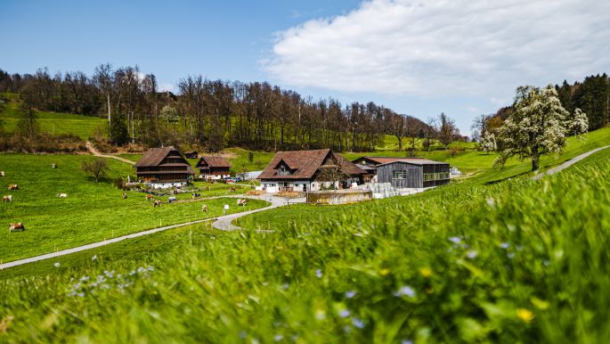 Lindenfeldweid_Unternährer_Luzern_Hof