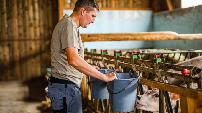 Aescher-Oberkarren_Kälin_Bennau_Arbeit