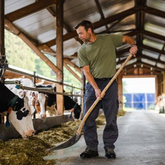 Forh?lzlihof_Waldvogel_Hinwil_Arbeit